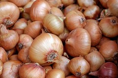 Onions for the Penis