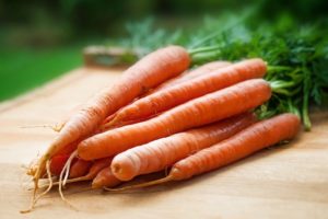 Carrots-penis-food